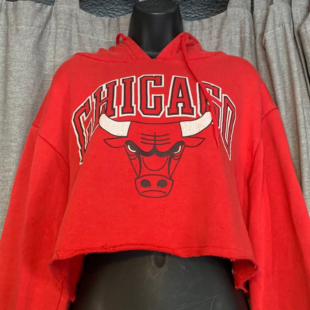 Chicago bulls